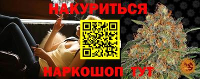 индика Сланцы