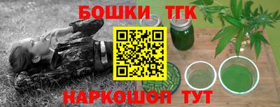 индика Сланцы