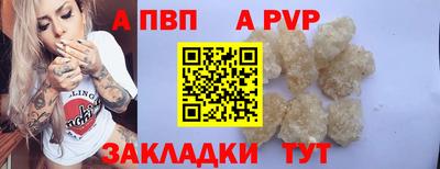 индика Сланцы