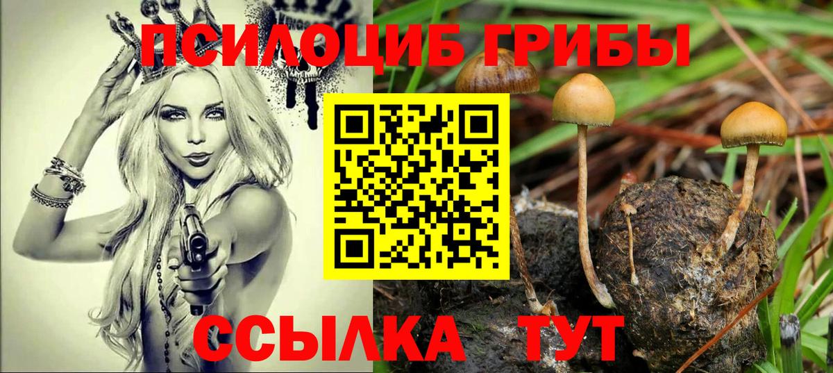 Псилоцибиновые грибы мухоморы Новочеркасск