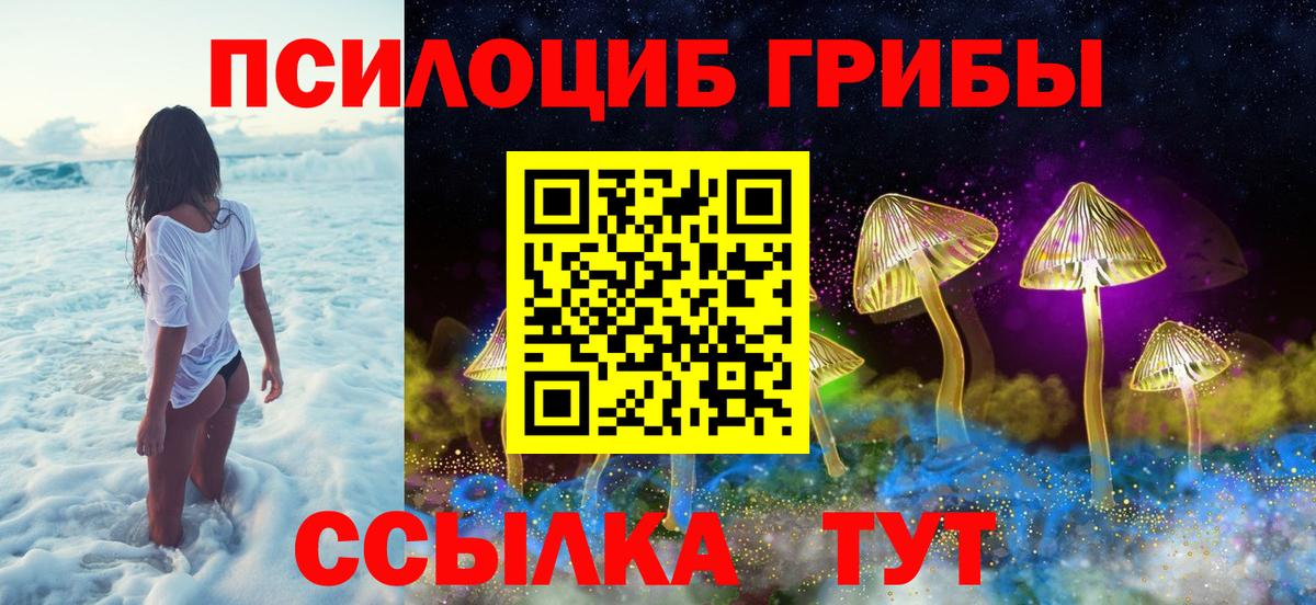 Новочеркасск  Псилоцибиновые грибы ЛСД  Вход с VPN 